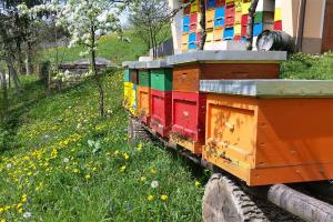 visit podcetrtek-zanimivosti-galerija-cebelarstvokozmus1-1091x727